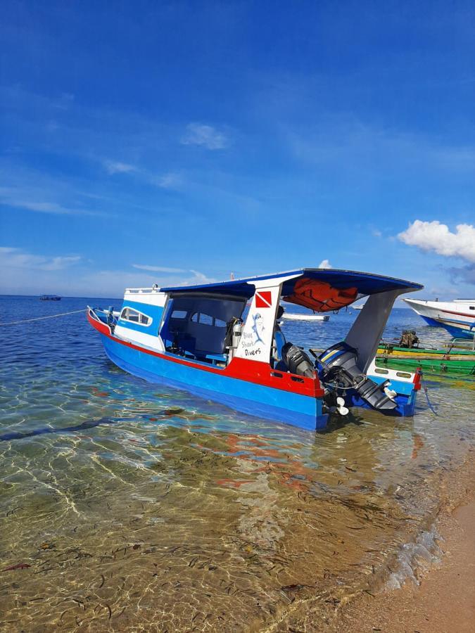 Blue Shark Divers Homestay