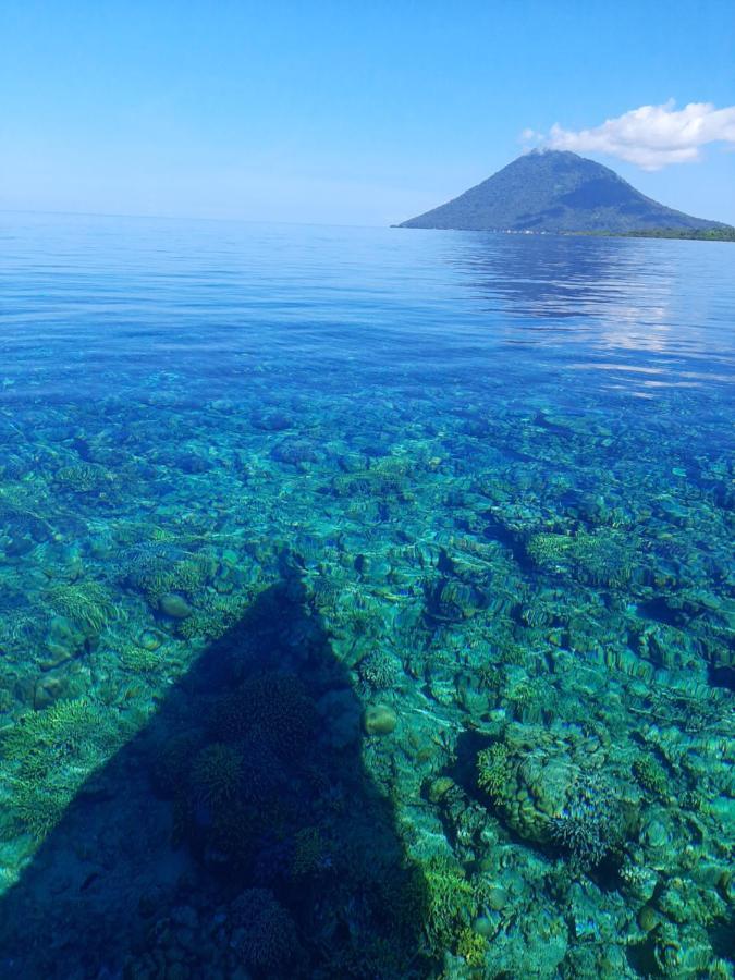 Blue Shark Divers Homestay