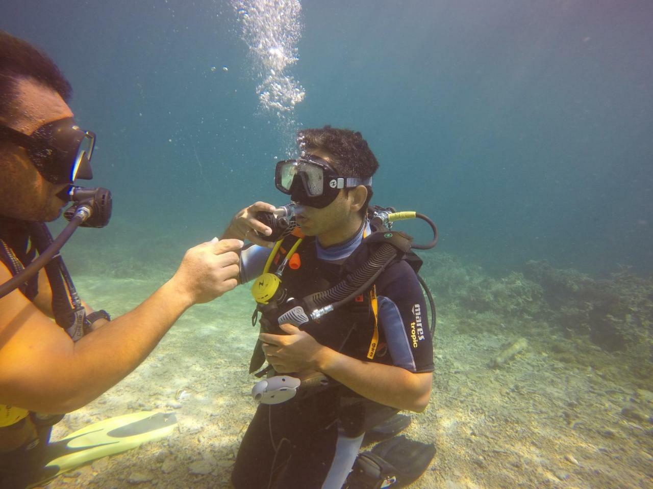 Homestay Blue Shark Divers