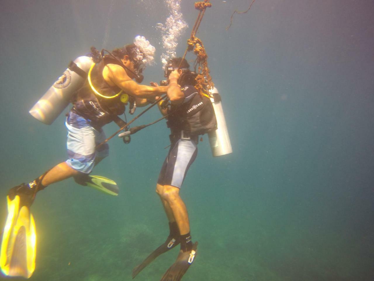 Blue Shark Divers Homestay *